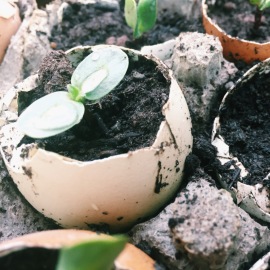 Zero Waste: Easter Egg Plant Pots